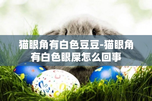 貓眼角有白色豆豆-貓眼角有白色眼屎怎么回事