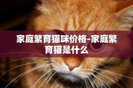 家庭繁育貓咪價格-家庭繁育貓是什么