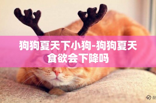 狗狗夏天下小狗-狗狗夏天食欲會下降嗎