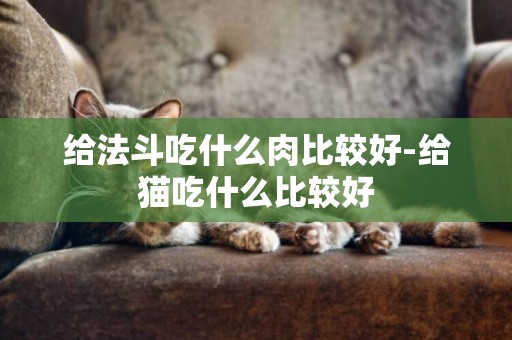 給法斗吃什么肉比較好-給貓吃什么比較好