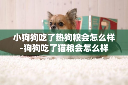 小狗狗吃了熱狗糧會怎么樣-狗狗吃了貓糧會怎么樣