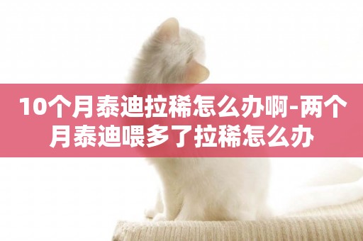 10個月泰迪拉稀怎么辦啊-兩個月泰迪喂多了拉稀怎么辦