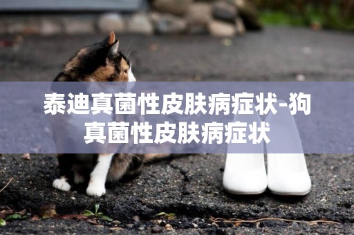 泰迪真菌性皮膚病癥狀-狗真菌性皮膚病癥狀