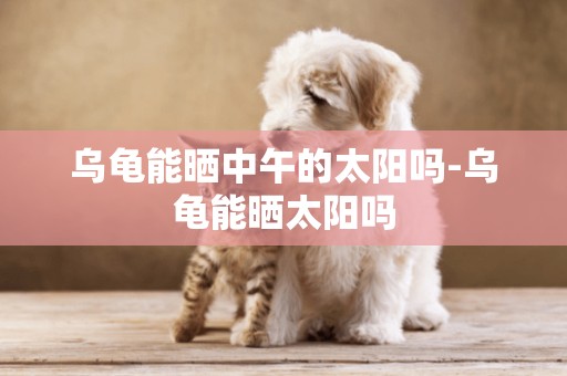 烏龜能曬中午的太陽嗎-烏龜能曬太陽嗎