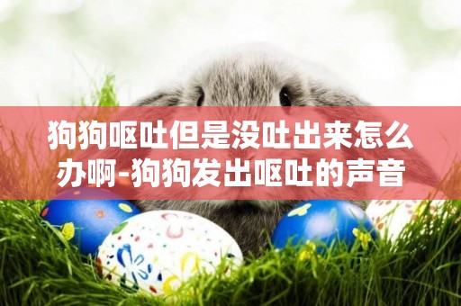 狗狗嘔吐但是沒吐出來怎么辦啊-狗狗發出嘔吐的聲音但是吐不出來是怎么回事