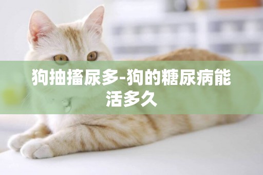 狗抽搐尿多-狗的糖尿病能活多久
