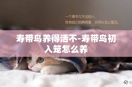 壽帶鳥養得活不-壽帶鳥初入籠怎么養