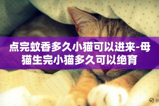 點完蚊香多久小貓可以進來-母貓生完小貓多久可以絕育