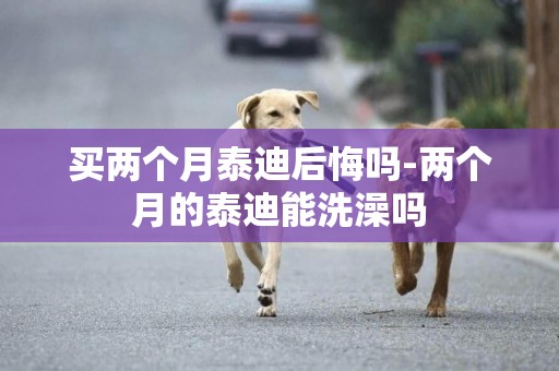 買兩個月泰迪后悔嗎-兩個月的泰迪能洗澡嗎