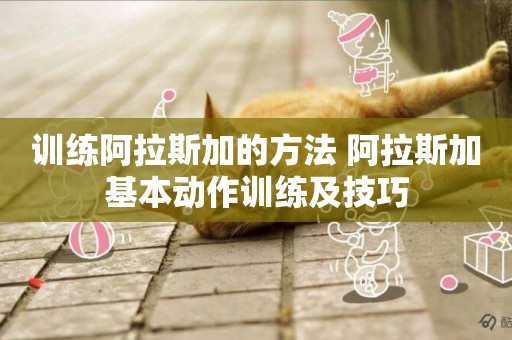訓練阿拉斯加的方法 阿拉斯加基本動作訓練及技巧