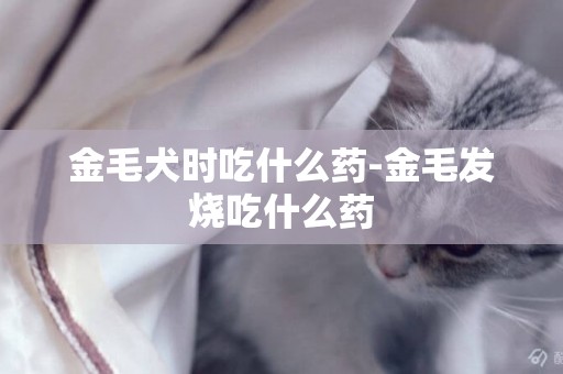 金毛犬時吃什么藥-金毛發燒吃什么藥