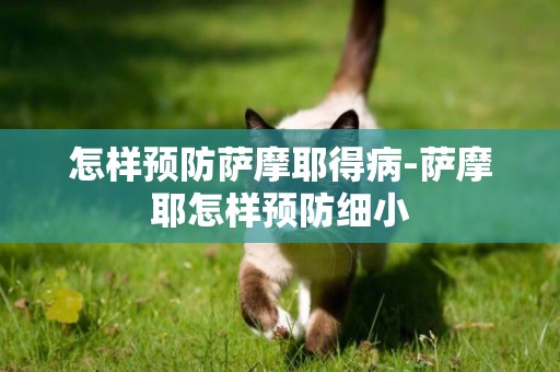 怎樣預防薩摩耶得病-薩摩耶怎樣預防細小