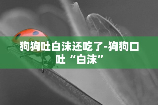 狗狗吐白沫還吃了-狗狗口吐“白沫”