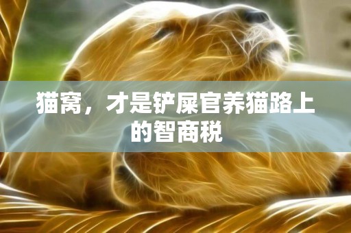 貓窩，才是鏟屎官養貓路上的智商稅