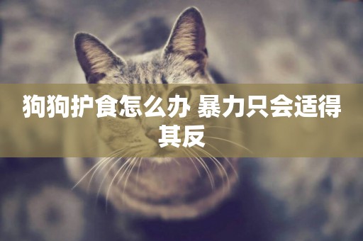 狗狗護食怎么辦 暴力只會適得其反