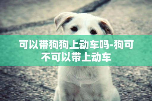可以帶狗狗上動車嗎-狗可不可以帶上動車