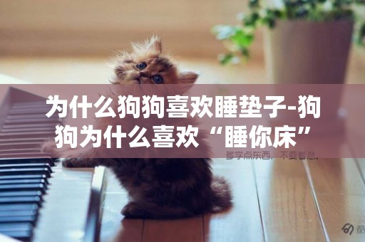 為什么狗狗喜歡睡墊子-狗狗為什么喜歡“睡你床”