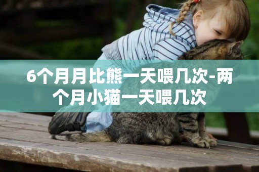 6個月月比熊一天喂幾次-兩個月小貓一天喂幾次