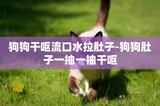 狗狗干嘔流口水拉肚子-狗狗肚子一抽一抽干嘔