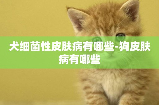 犬細菌性皮膚病有哪些-狗皮膚病有哪些