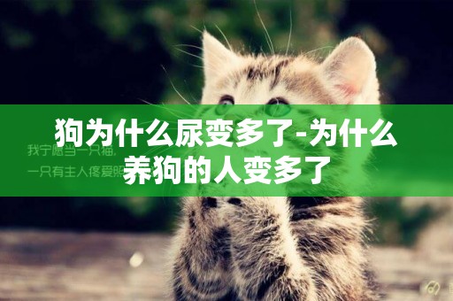 狗為什么尿變多了-為什么養狗的人變多了