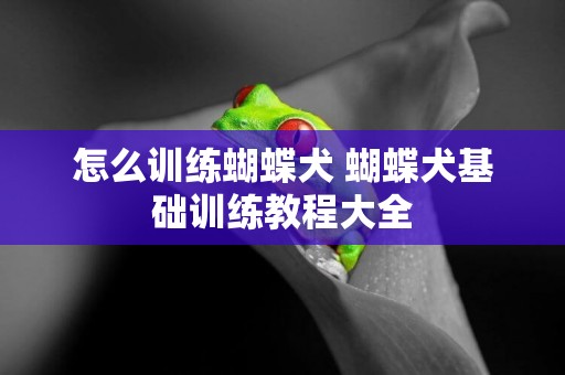 怎么訓練蝴蝶犬 蝴蝶犬基礎訓練教程大全
