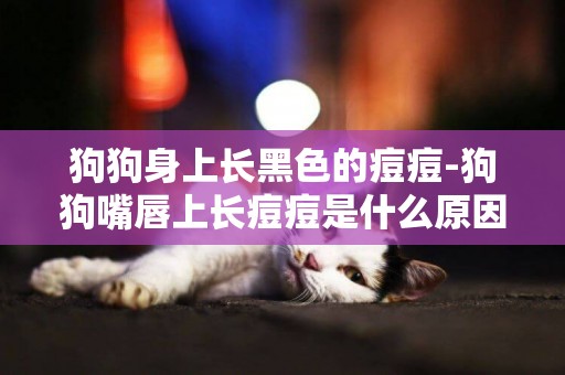 狗狗身上長黑色的痘痘-狗狗嘴唇上長痘痘是什么原因