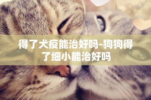 得了犬疫能治好嗎-狗狗得了細小能治好嗎