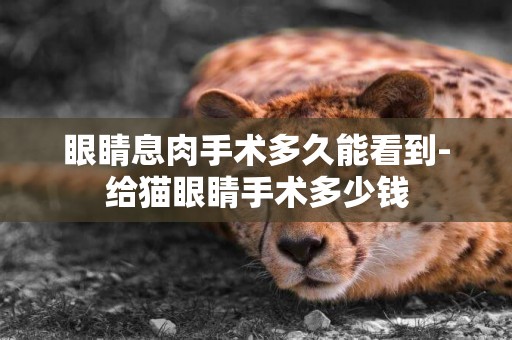 眼睛息肉手術多久能看到-給貓眼睛手術多少錢