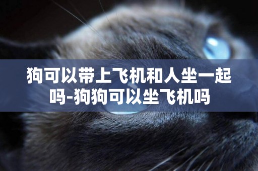 狗可以帶上飛機和人坐一起嗎-狗狗可以坐飛機嗎
