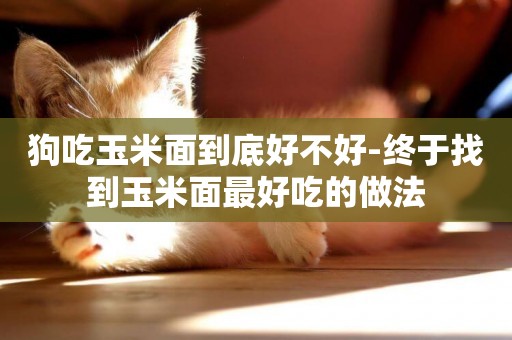 狗吃玉米面到底好不好-終于找到玉米面最好吃的做法