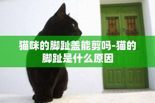 貓咪的腳趾蓋能剪嗎-貓的腳趾是什么原因