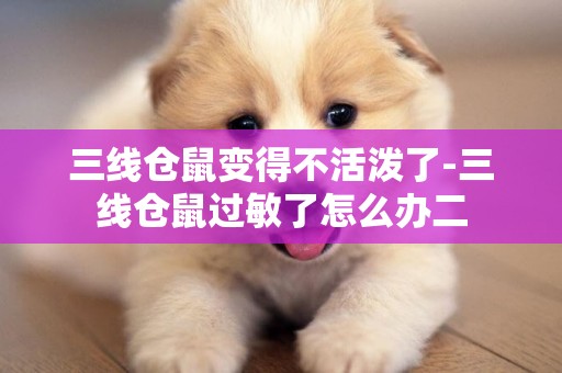 三線倉鼠變得不活潑了-三線倉鼠過敏了怎么辦二
