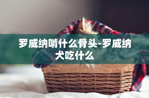 羅威納啃什么骨頭-羅威納犬吃什么