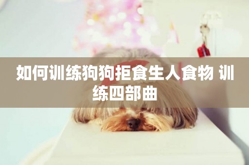 如何訓練狗狗拒食生人食物 訓練四部曲