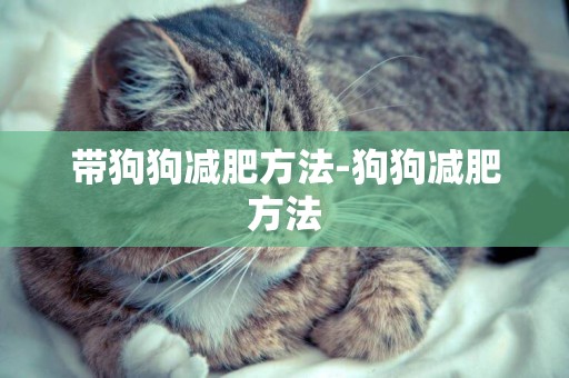 帶狗狗減肥方法-狗狗減肥方法