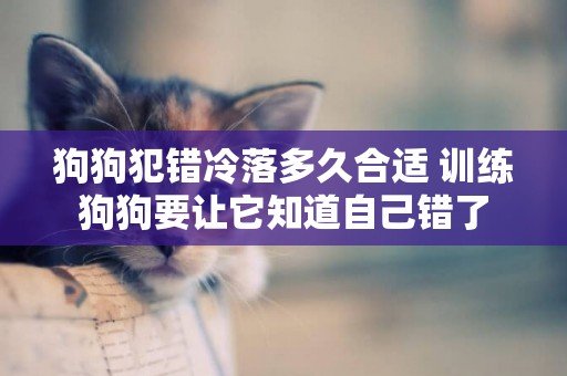 狗狗犯錯冷落多久合適 訓練狗狗要讓它知道自己錯了
