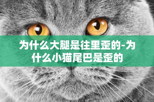 為什么大腿是往里歪的-為什么小貓尾巴是歪的