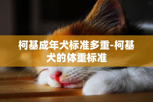 柯基成年犬標準多重-柯基犬的體重標準