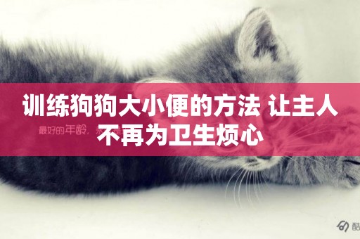 訓練狗狗大小便的方法 讓主人不再為衛生煩心