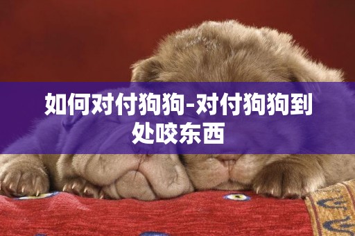 如何對付狗狗-對付狗狗到處咬東西