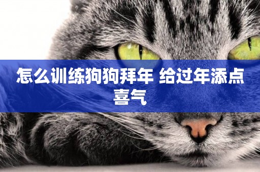 怎么訓練狗狗拜年 給過年添點喜氣