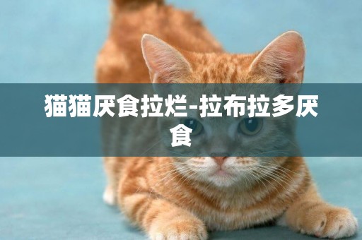 貓貓厭食拉爛-拉布拉多厭食