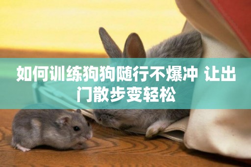 如何訓練狗狗隨行不爆沖 讓出門散步變輕松
