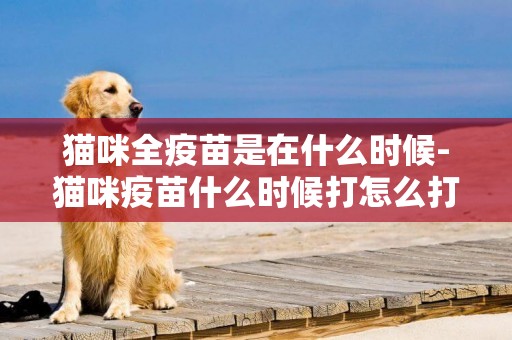 貓咪全疫苗是在什么時候-貓咪疫苗什么時候打怎么打