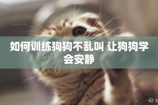 如何訓練狗狗不亂叫 讓狗狗學會安靜