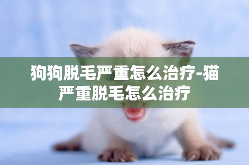 狗狗脫毛嚴重怎么治療-貓嚴重脫毛怎么治療