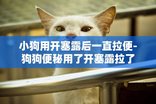 小狗用開塞露后一直拉便-狗狗便秘用了開塞露拉了