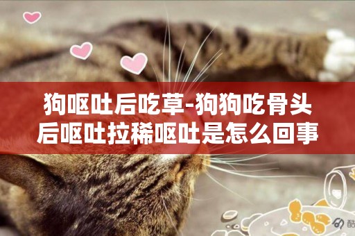 狗嘔吐后吃草-狗狗吃骨頭后嘔吐拉稀嘔吐是怎么回事啊