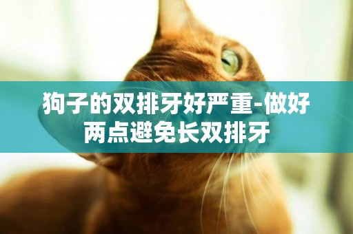 狗子的雙排牙好嚴重-做好兩點避免長雙排牙